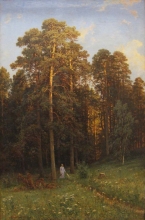 213/ иван -  на опушке соснового леса 1882